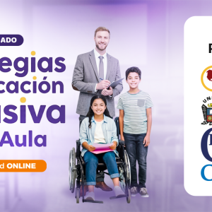 DIPLOMADO ESTRATEGIAS DE EDUCACIÓN INCLUSIVA EN EL AULA